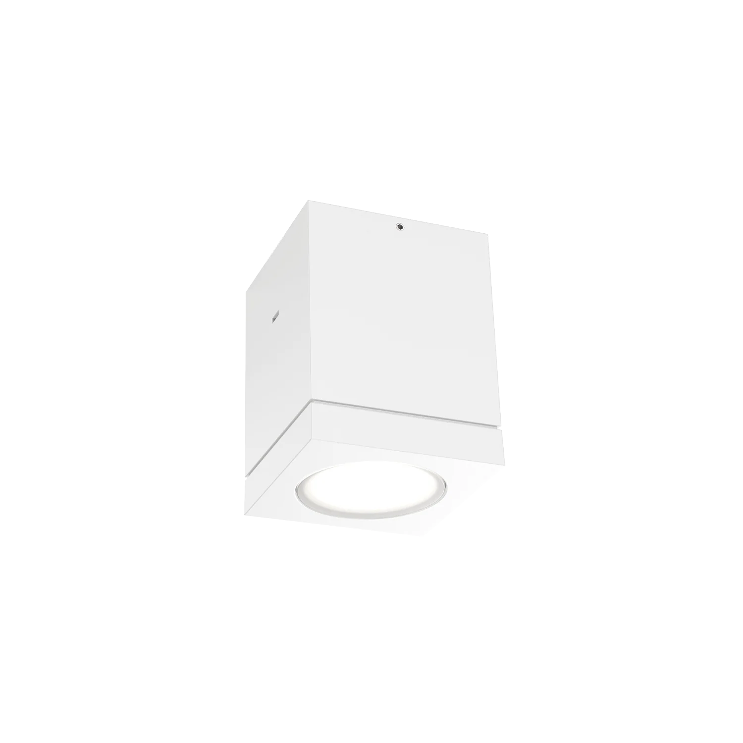 Miniature 5